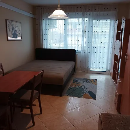 公寓 Balaton 100 希欧福克